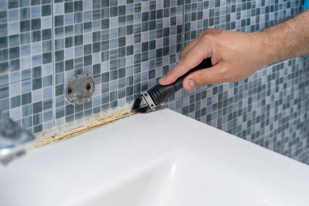 Best Same-Day Mold Removal  in Runge, TX